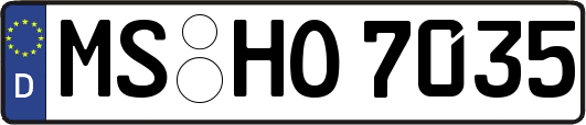 MS-HO7035