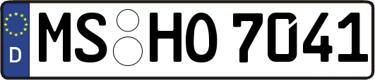 MS-HO7041