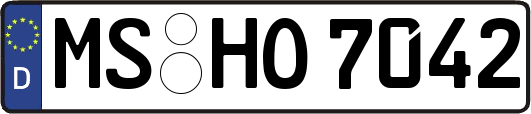 MS-HO7042