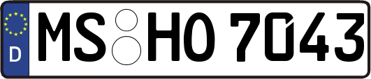 MS-HO7043