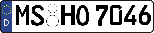 MS-HO7046