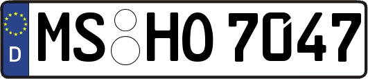 MS-HO7047