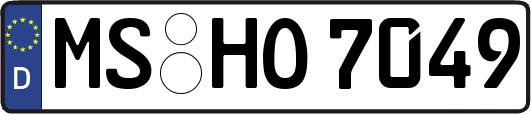 MS-HO7049