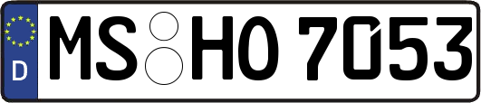 MS-HO7053