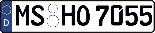 MS-HO7055