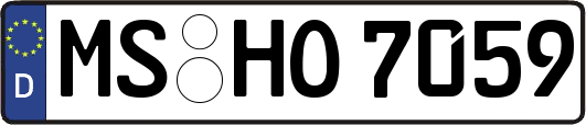 MS-HO7059