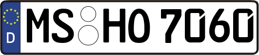 MS-HO7060