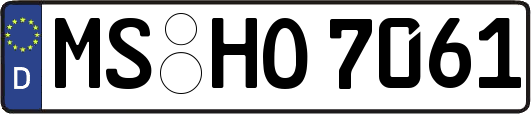 MS-HO7061