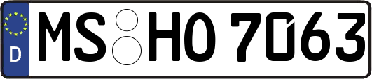 MS-HO7063