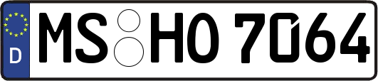 MS-HO7064
