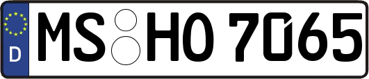 MS-HO7065