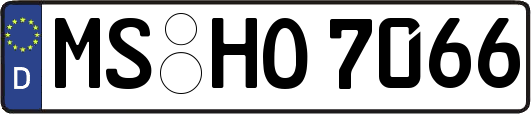 MS-HO7066