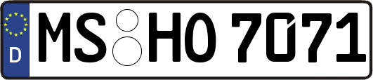 MS-HO7071