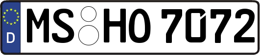 MS-HO7072