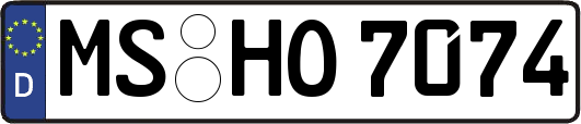 MS-HO7074