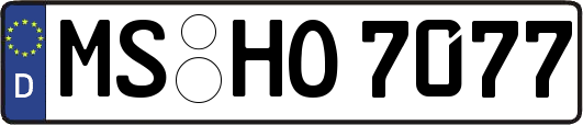 MS-HO7077