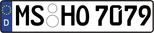 MS-HO7079