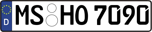 MS-HO7090