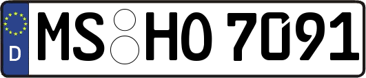 MS-HO7091