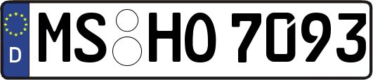 MS-HO7093