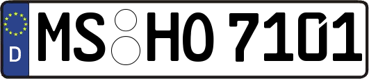 MS-HO7101
