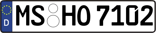 MS-HO7102