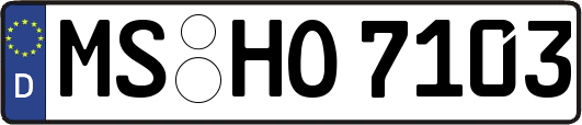 MS-HO7103