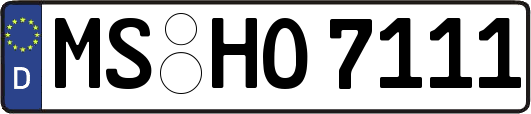 MS-HO7111