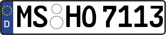 MS-HO7113