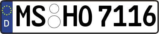 MS-HO7116