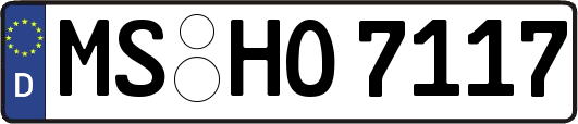 MS-HO7117