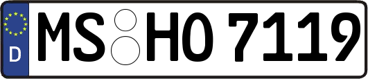 MS-HO7119