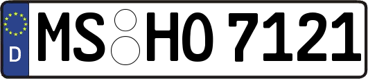MS-HO7121