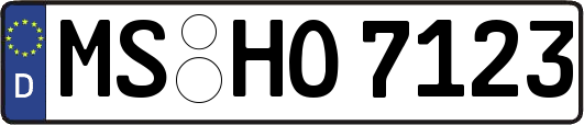 MS-HO7123