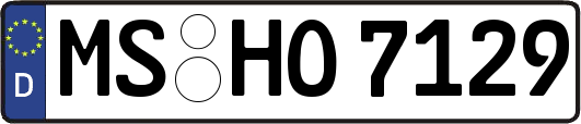 MS-HO7129
