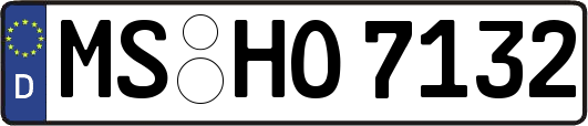MS-HO7132
