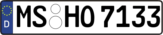 MS-HO7133