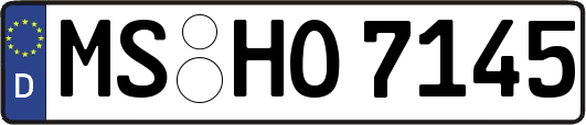 MS-HO7145
