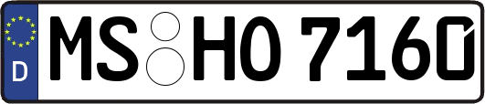 MS-HO7160