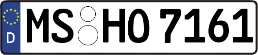 MS-HO7161