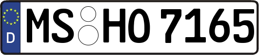 MS-HO7165