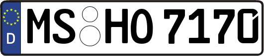 MS-HO7170