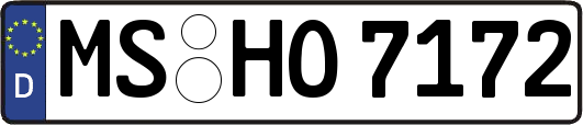 MS-HO7172