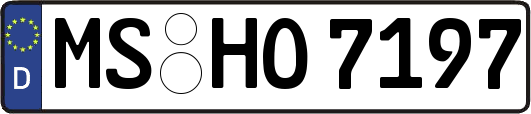 MS-HO7197