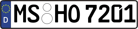 MS-HO7201