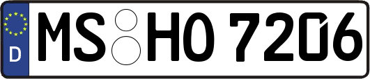 MS-HO7206