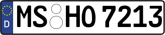 MS-HO7213