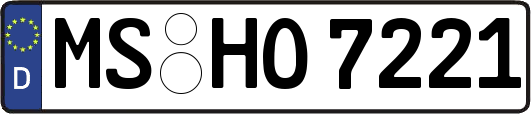 MS-HO7221