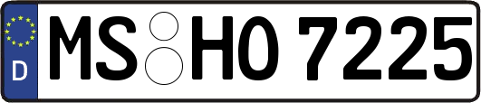 MS-HO7225