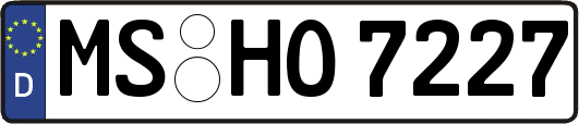 MS-HO7227